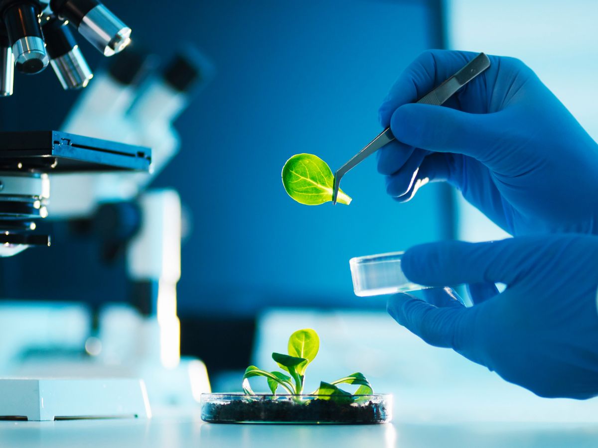 công nghệ sinh học