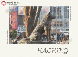 hachiko thumb