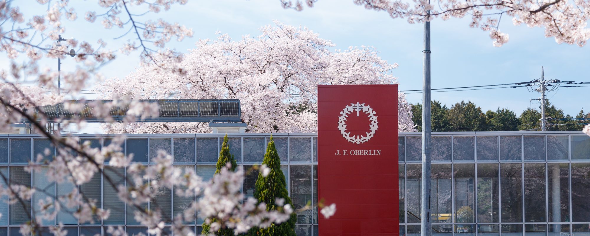 trường Oberlin