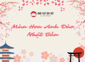 mùa hoa anh đào nhật bản thumb