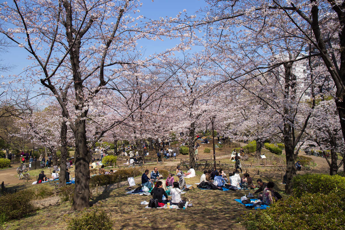 hanami