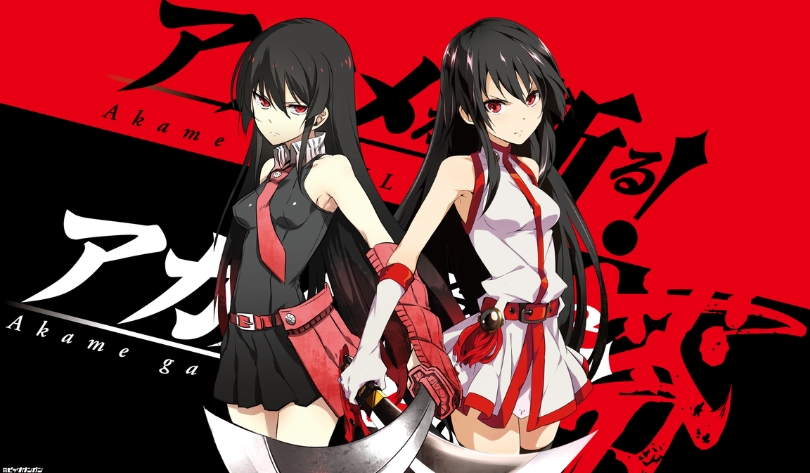 Anime Sát Thủ Akame