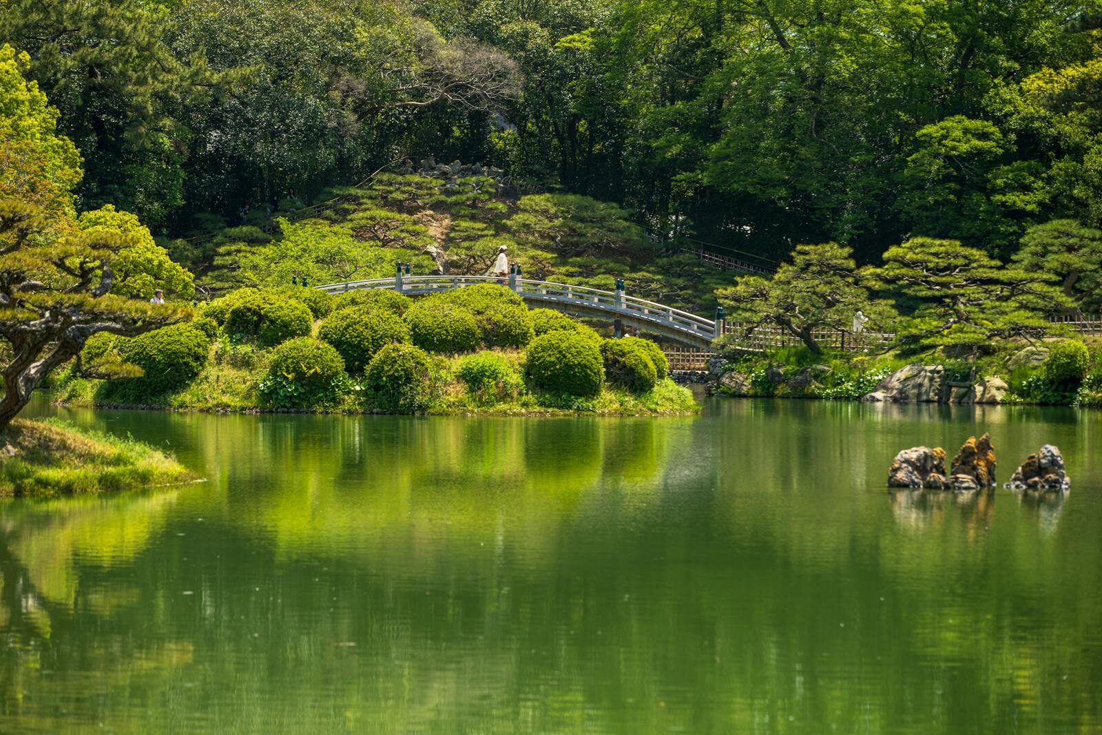 Tranquil Japanese garden with lush greenery and a beautiful pond reflecting the serene landscape.