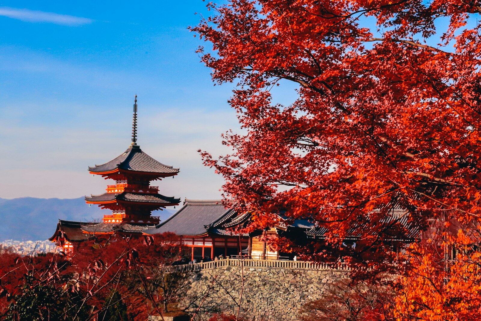 Kiyomizu-dera with a tower and trees around it