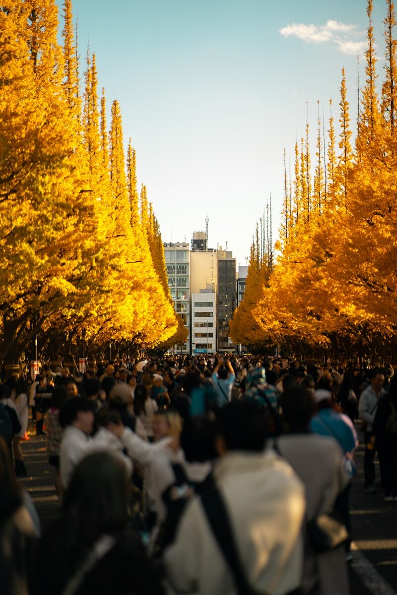 a crowd of people walking down a street next to tall trees