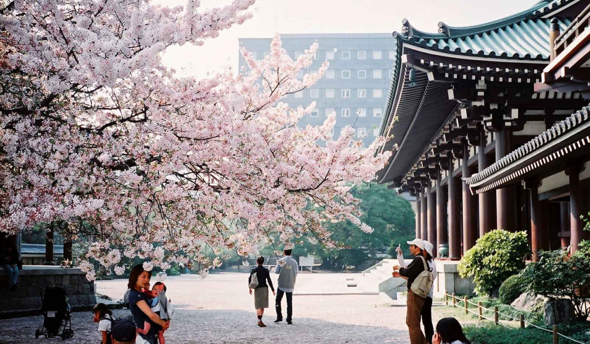 hanami