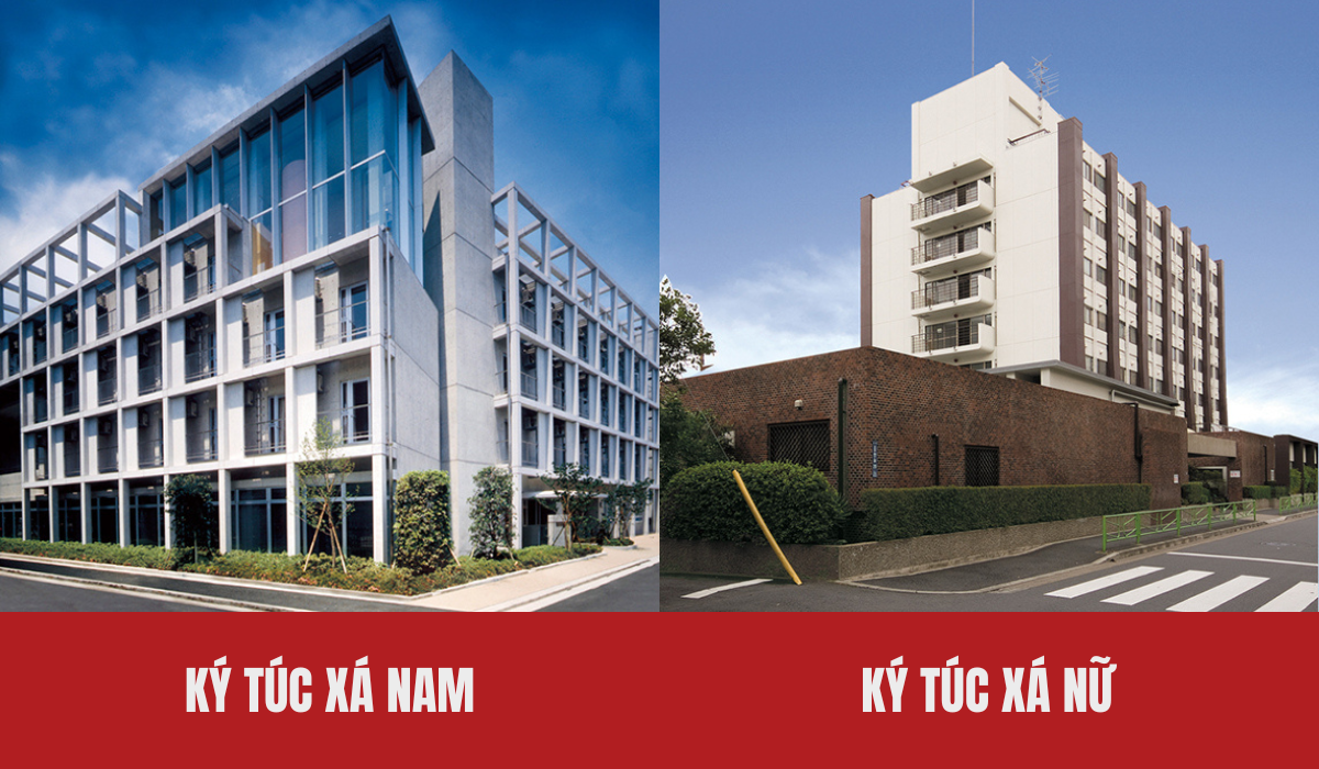 Trường Japanese Language School affiliated with Chuo College of Technology tuyển sinh kỳ tháng 4/2024 1 truong japanese language school affiliated with chuo college of technology tuyen sinh ky thang 4 2024 1