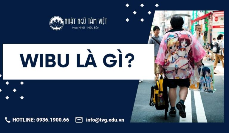 wibu-la-gi-nguoi-viet-dung-tu-wibu-nhu-the-nao-wibu-va-otaku-khac-nhau-ra-sao-1