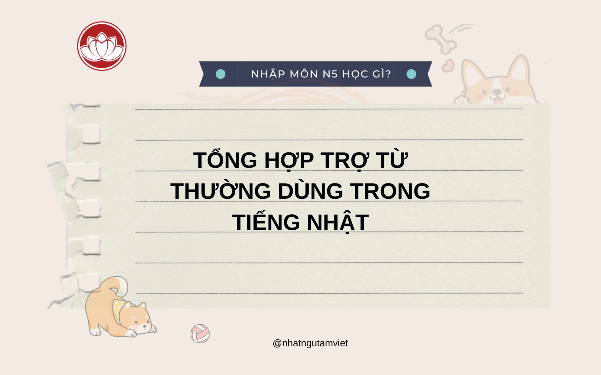 1 5 286a4c9a